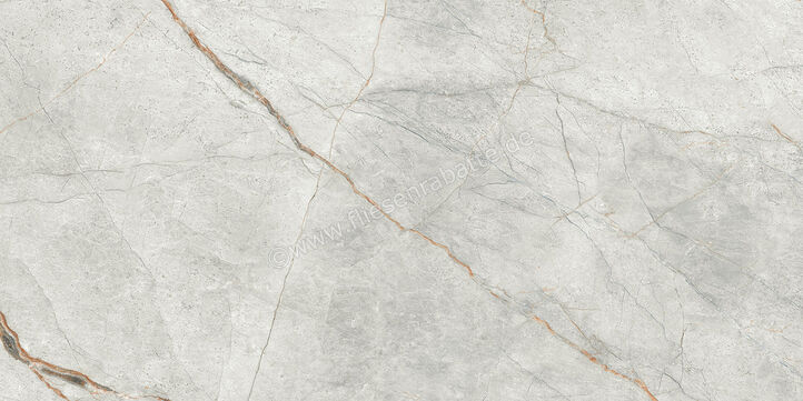 Imola Ceramica The Room Grey Roots 60x120 cm Bodenfliese / Wandfliese Stärke: 6,5 mm Matt Eben Naturale GRE RO6 12 RM | 450210