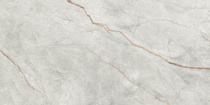 Imola Ceramica The Room Grey Roots 60x120 cm Bodenfliese / Wandfliese Stärke: 6,5 mm Matt Eben Naturale GRE RO6 12 RM | 450225