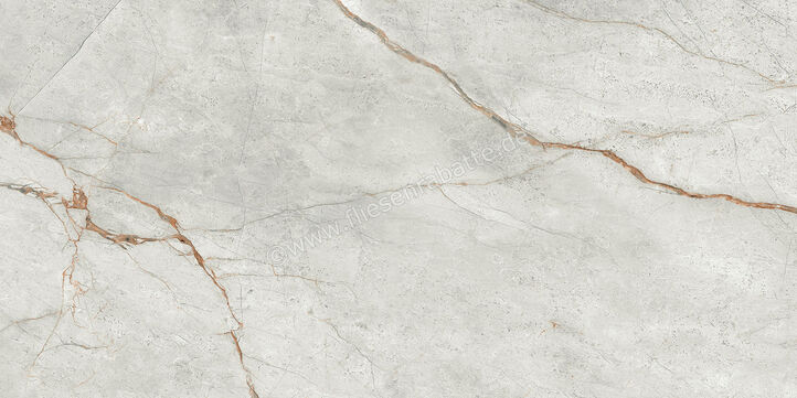 Imola Ceramica The Room Grey Roots 60x120 cm Bodenfliese / Wandfliese Stärke: 6,5 mm Matt Eben Naturale GRE RO6 12 RM | 450228