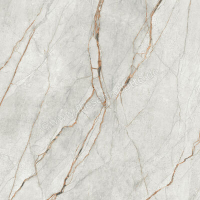  Imola Ceramica The Room Grey Roots 120x120 cm Bodenfliese / Wandfliese Stärke: 6,5 mm Glänzend Eben Lappato GRE RO6 120 LP (177342) | 450237