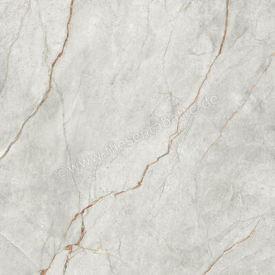  Imola Ceramica The Room Grey Roots 120x120 cm Bodenfliese / Wandfliese Stärke: 6,5 mm Glänzend Eben Lappato GRE RO6 120 LP (177342) | 450243