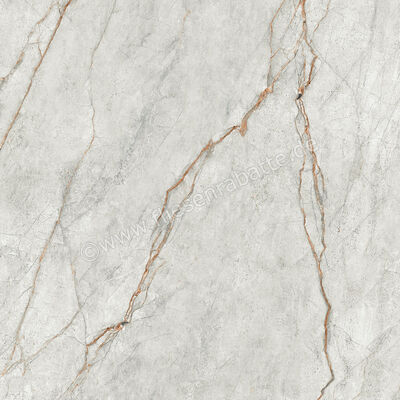  Imola Ceramica The Room Grey Roots 120x120 cm Bodenfliese / Wandfliese Stärke: 6,5 mm Glänzend Eben Lappato GRE RO6 120 LP (177342) | 450246