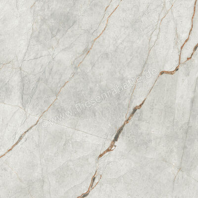  Imola Ceramica The Room Grey Roots 120x120 cm Bodenfliese / Wandfliese Stärke: 6,5 mm Matt Eben Naturale GRE RO6 120 RM (177337) | 450258