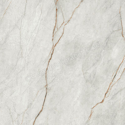 Imola Ceramica The Room Grey Roots 120x120 cm Bodenfliese / Wandfliese Stärke: 6,5 mm Matt Eben Naturale GRE RO6 120 RM | 450264