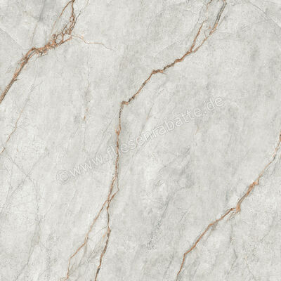  Imola Ceramica The Room Grey Roots 120x120 cm Bodenfliese / Wandfliese Stärke: 6,5 mm Matt Eben Naturale GRE RO6 120 RM (177337) | 450276