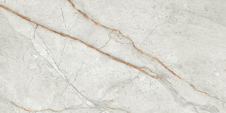 Imola Ceramica The Room Grey Roots 30x60 cm Bodenfliese / Wandfliese Stärke: 6,5 mm Matt Eben Naturale GRE RO6 36 RM | 450297