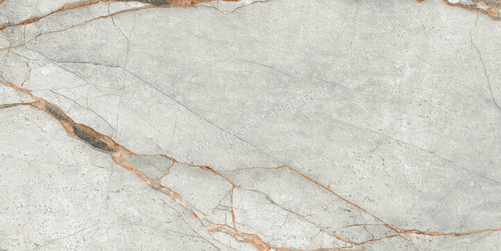 Imola Ceramica The Room Grey Roots 30x60 cm Bodenfliese / Wandfliese Stärke: 6,5 mm Matt Eben Naturale GRE RO6 36 RM | 450303