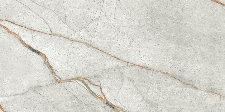 Imola Ceramica The Room Grey Roots 30x60 cm Bodenfliese / Wandfliese Stärke: 6,5 mm Matt Eben Naturale GRE RO6 36 RM | 450309