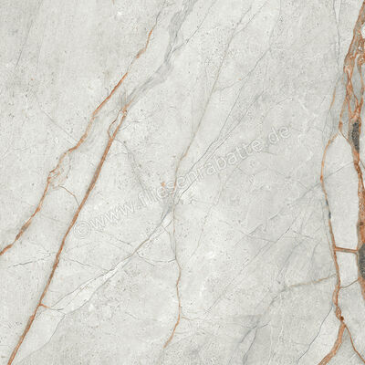  Imola Ceramica The Room Grey Roots 60x60 cm Bodenfliese / Wandfliese Stärke: 6,5 mm Matt Eben Naturale GRE RO6 60 RM (190813) | 450312