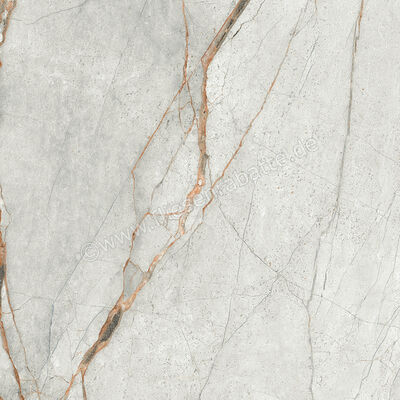  Imola Ceramica The Room Grey Roots 60x60 cm Bodenfliese / Wandfliese Stärke: 6,5 mm Matt Eben Naturale GRE RO6 60 RM (190813) | 450315