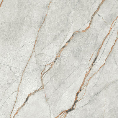  Imola Ceramica The Room Grey Roots 60x60 cm Bodenfliese / Wandfliese Stärke: 6,5 mm Matt Eben Naturale GRE RO6 60 RM (190813) | 450318