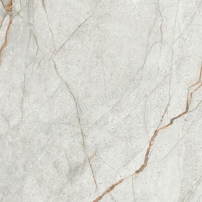 Imola Ceramica The Room Grey Roots 60x60 cm Bodenfliese / Wandfliese Stärke: 6,5 mm Matt Eben Naturale GRE RO6 60 RM | 450321