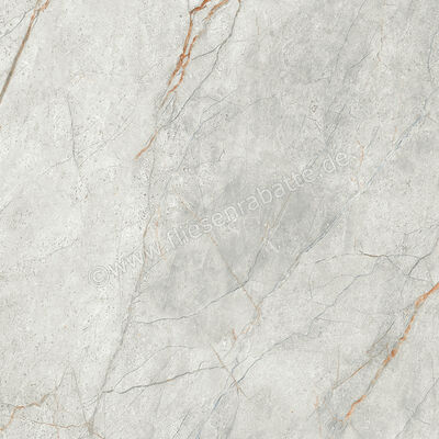 Imola Ceramica The Room Grey Roots 60x60 cm Bodenfliese / Wandfliese Stärke: 6,5 mm Matt Eben Naturale GRE RO6 60 RM | 450324