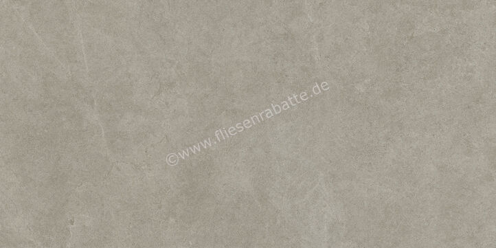 Ragno Realstone_Argent Ghiaccio 60x120 cm Bodenfliese / Wandfliese R10/A Matt Eben Naturale R9HD | 453624