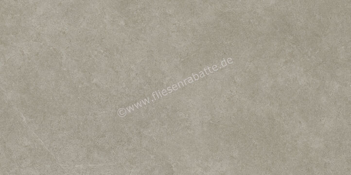 Ragno Realstone_Argent Ghiaccio 60x120 cm Bodenfliese / Wandfliese R10/A Matt Eben Naturale R9HD | 453633