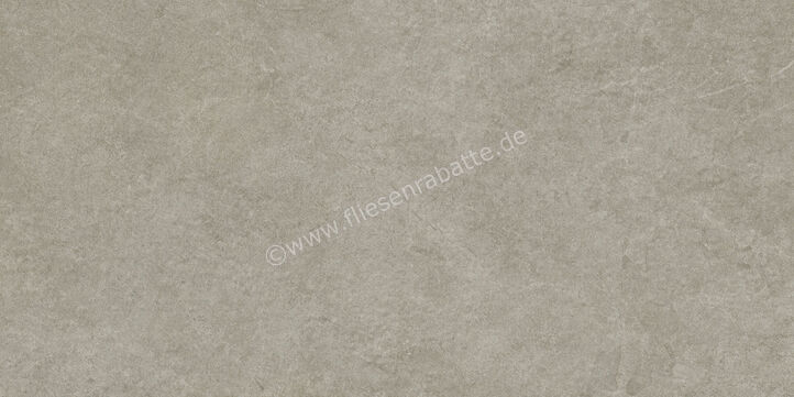  Ragno Realstone_Argent Ghiaccio 60x120 cm Bodenfliese / Wandfliese Strutt Matt Eben Naturale R9HM | 453738