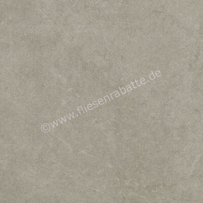 Ragno Realstone_Argent Ghiaccio 60x60 cm Bodenfliese / Wandfliese R10/A Matt Eben Naturale R9HW | 453837