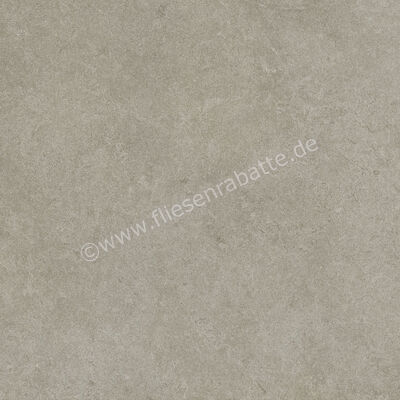 Ragno Realstone_Argent Ghiaccio 60x60 cm Bodenfliese / Wandfliese R10/A Matt Eben Naturale R9HW | 453843