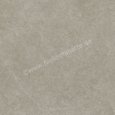 Ragno Realstone_Argent Ghiaccio 60x60 cm Bodenfliese / Wandfliese R10/A Matt Eben Naturale R9HW | 453849