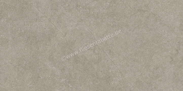  Ragno Realstone_Argent Ghiaccio 30x60 cm Bodenfliese / Wandfliese Matt Eben Naturale R9JD | 453945