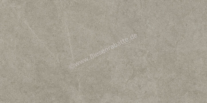  Ragno Realstone_Argent Ghiaccio 30x60 cm Bodenfliese / Wandfliese Matt Eben Naturale R9JD | 453948