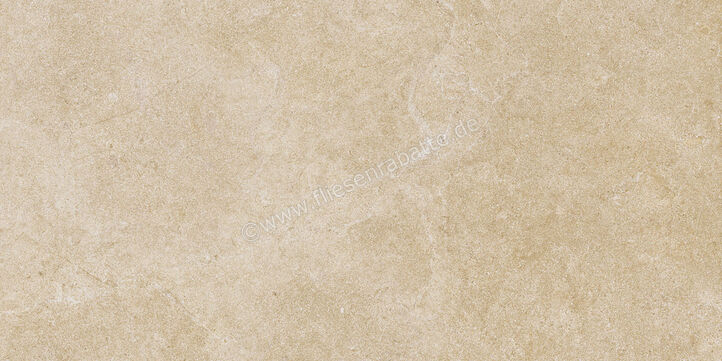  Ragno Realstone_Argent Miele 30x60 cm Bodenfliese / Wandfliese Matt Eben Naturale R9JF | 453984