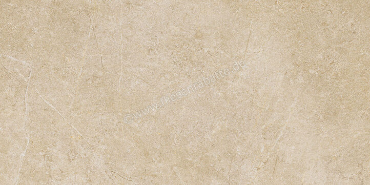  Ragno Realstone_Argent Miele 30x60 cm Bodenfliese / Wandfliese Matt Eben Naturale R9JF | 453990