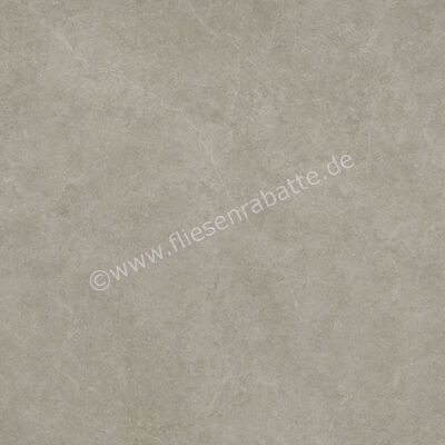  Ragno Realstone_Argent Ghiaccio 120x120 cm Bodenfliese / Wandfliese Slim Matt Eben Naturale R9LR | 454539