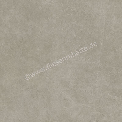  Ragno Realstone_Argent Ghiaccio 120x120 cm Bodenfliese / Wandfliese Slim Matt Eben Naturale R9LR | 454545