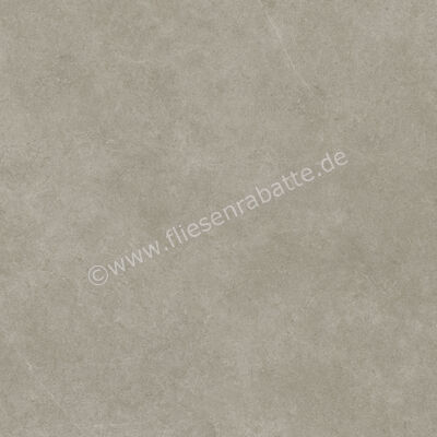  Ragno Realstone_Argent Ghiaccio 120x120 cm Bodenfliese / Wandfliese Slim Matt Eben Naturale R9LR | 454551