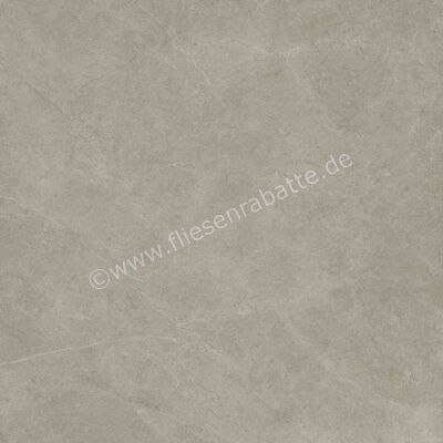  Ragno Realstone_Argent Ghiaccio 120x120 cm Bodenfliese / Wandfliese Slim Matt Eben Naturale R9LR | 454554
