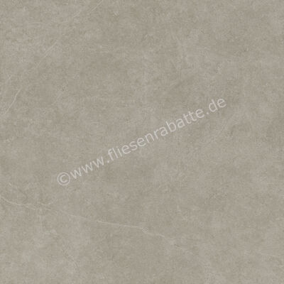  Ragno Realstone_Argent Ghiaccio 120x120 cm Bodenfliese / Wandfliese Slim Matt Eben Naturale R9LR | 454557