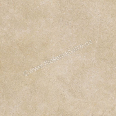  Ragno Realstone_Argent Miele 120x120 cm Bodenfliese / Wandfliese Slim Matt Eben Naturale R9LS | 454566