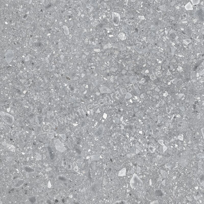 Ragno Realstone_Ceppo Grigio 120x120 cm Bodenfliese / Wandfliese Matt Eben Naturale RCWH | 454815