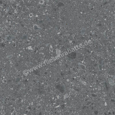 Ragno Realstone_Ceppo Antracite 120x120 cm Bodenfliese / Wandfliese Matt Eben Naturale RCWJ | 454827