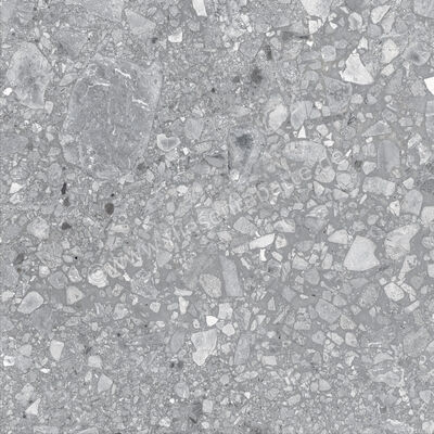 Ragno Realstone_Ceppo Grigio 60x60 cm Bodenfliese / Wandfliese Matt Eben Naturale RCXC | 455481