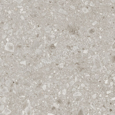 Ragno Realstone_Ceppo Beige 60x60 cm Bodenfliese / Wandfliese Matt Eben Naturale RCXE | 455523