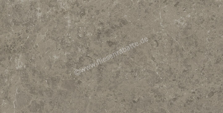 Atlas Concorde Marvel Meraviglia Grigio Elegante 60x120 cm Bodenfliese / Wandfliese Matt Eben Velvetech AI8R | 460158