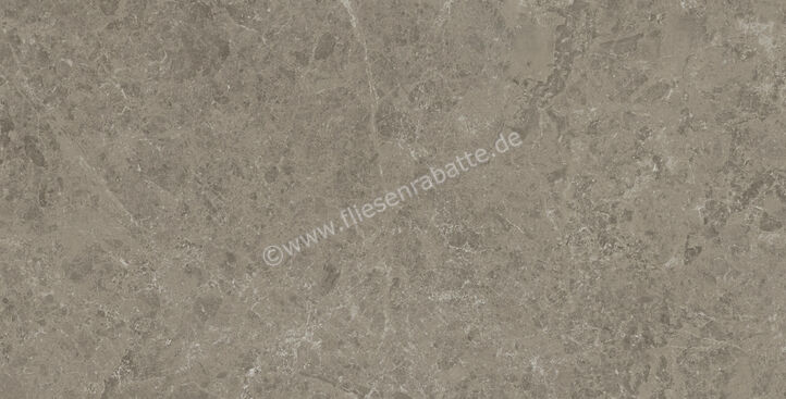 Atlas Concorde Marvel Meraviglia Grigio Elegante 60x120 cm Bodenfliese / Wandfliese Matt Eben Velvetech AI8R | 460161