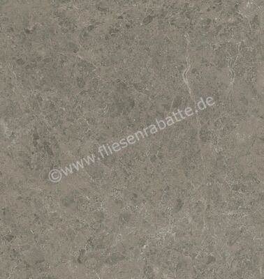 Atlas Concorde Marvel Meraviglia Grigio Elegante 120x120 cm Bodenfliese / Wandfliese Glänzend Eben Lappato AJIF | 460536