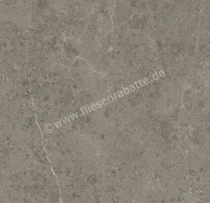 Atlas Concorde Marvel Meraviglia Grigio Elegante 120x120 cm Bodenfliese / Wandfliese Matt Eben Velvetech AJIL | 460548