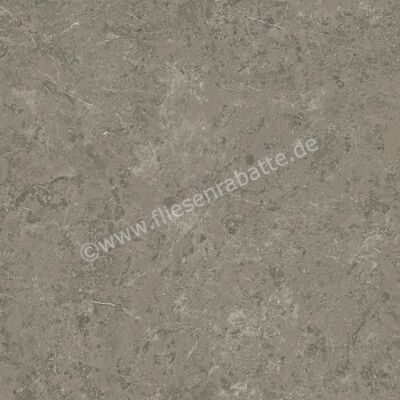 Atlas Concorde Marvel Meraviglia Grigio Elegante 120x120 cm Bodenfliese / Wandfliese Matt Eben Velvetech AJIL | 460551