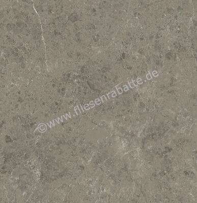 Atlas Concorde Marvel Meraviglia Grigio Elegante 120x120 cm Bodenfliese / Wandfliese Matt Eben Velvetech AJIL | 460554