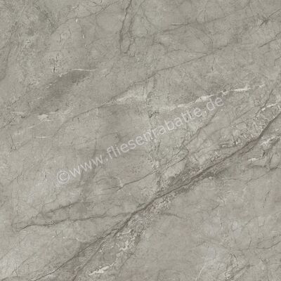 Atlas Concorde Marvel Meraviglia Silver Majestic 120x120 cm Bodenfliese / Wandfliese Matt Eben Velvetech AJIK | 460638