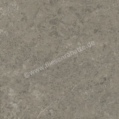 Atlas Concorde Marvel Meraviglia Grigio Elegante 120x120 cm Bodenfliese / Wandfliese Matt Eben Velvetech AJIL | 460659