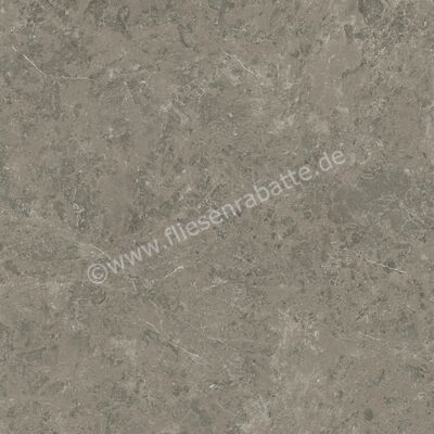 Atlas Concorde Marvel Meraviglia Grigio Elegante 120x120 cm Bodenfliese / Wandfliese Matt Eben Velvetech AJIL | 460662