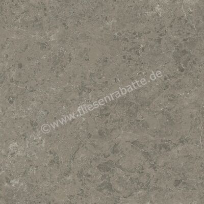 Atlas Concorde Marvel Meraviglia Grigio Elegante 120x120 cm Bodenfliese / Wandfliese Matt Eben Velvetech AJIL | 460668