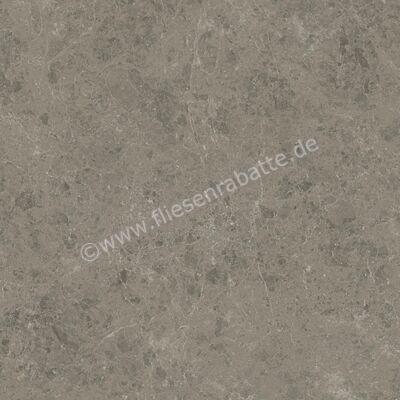 Atlas Concorde Marvel Meraviglia Grigio Elegante 120x120 cm Bodenfliese / Wandfliese Matt Eben Velvetech AJIL | 460674