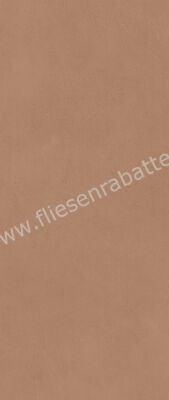  Atlas Concorde Boost Expression Sienna 50x120 cm Wandfliese Matt Eben Naturale AYR9 | 466751