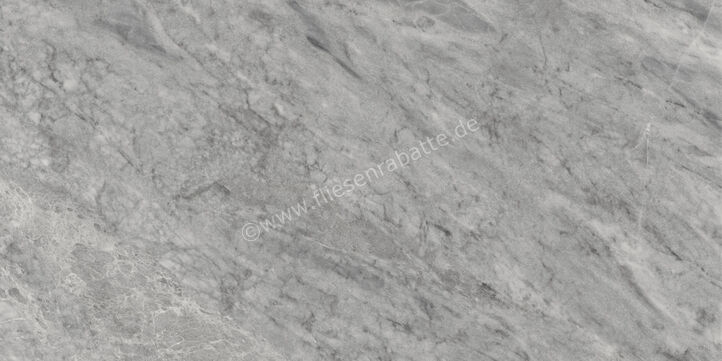 Villeroy & Boch Marble Selection Bardiglio 60x120 cm Bodenfliese / Wandfliese (Excellence) Glänzend Eben VilbostonePlus 2960 M60P 0 | 471728